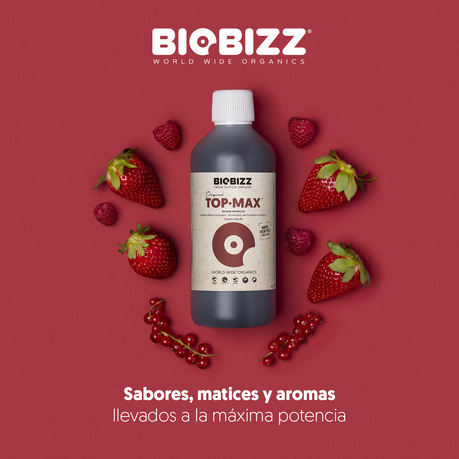 Top Max 250 ml BioBizz