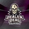 Auto Mix Dealer Deal XXL BSF - (x12)