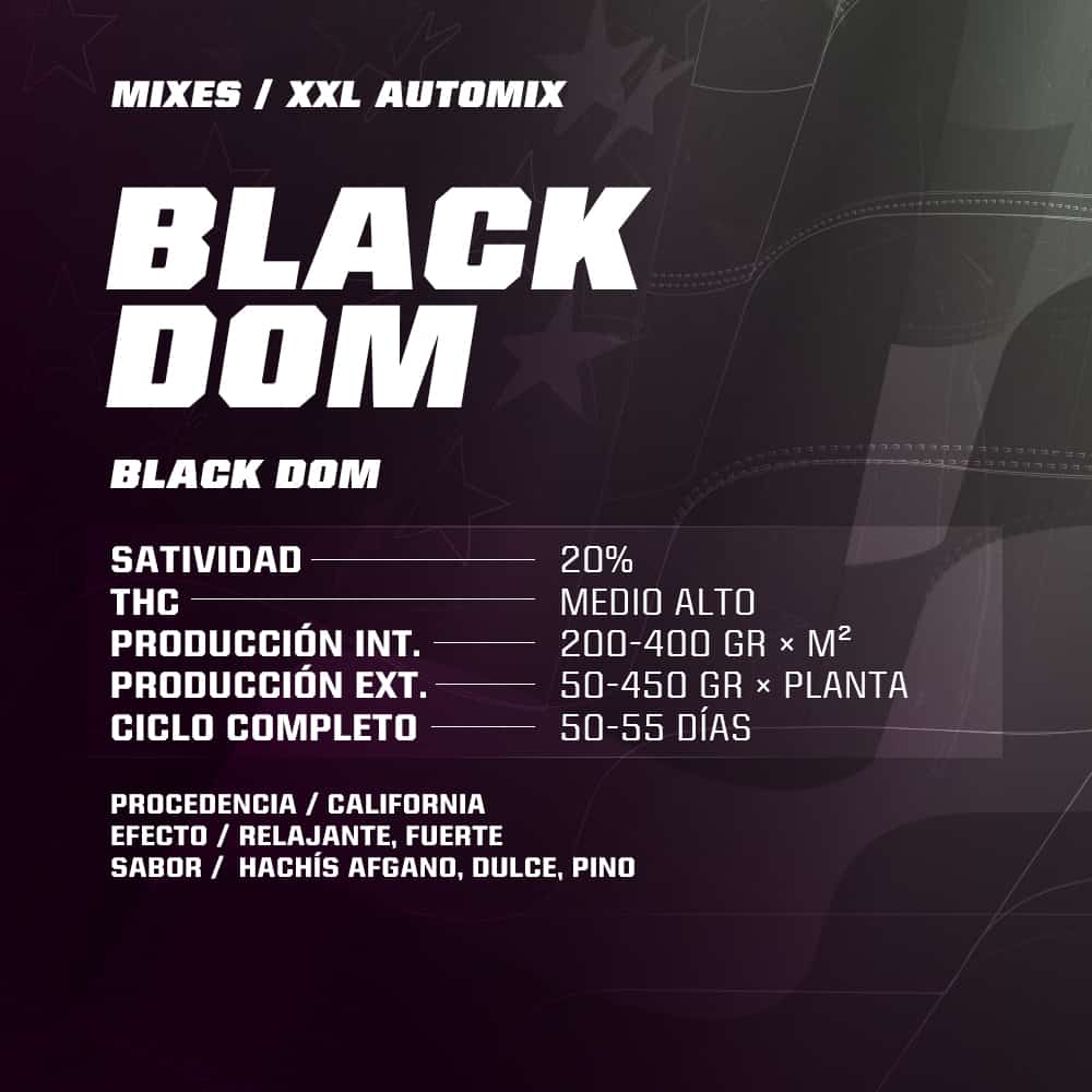 Auto Mix Dealer Deal XXL BSF - (x12) 4 Auto Mix Dealer Deal XXL BSF - (x12)