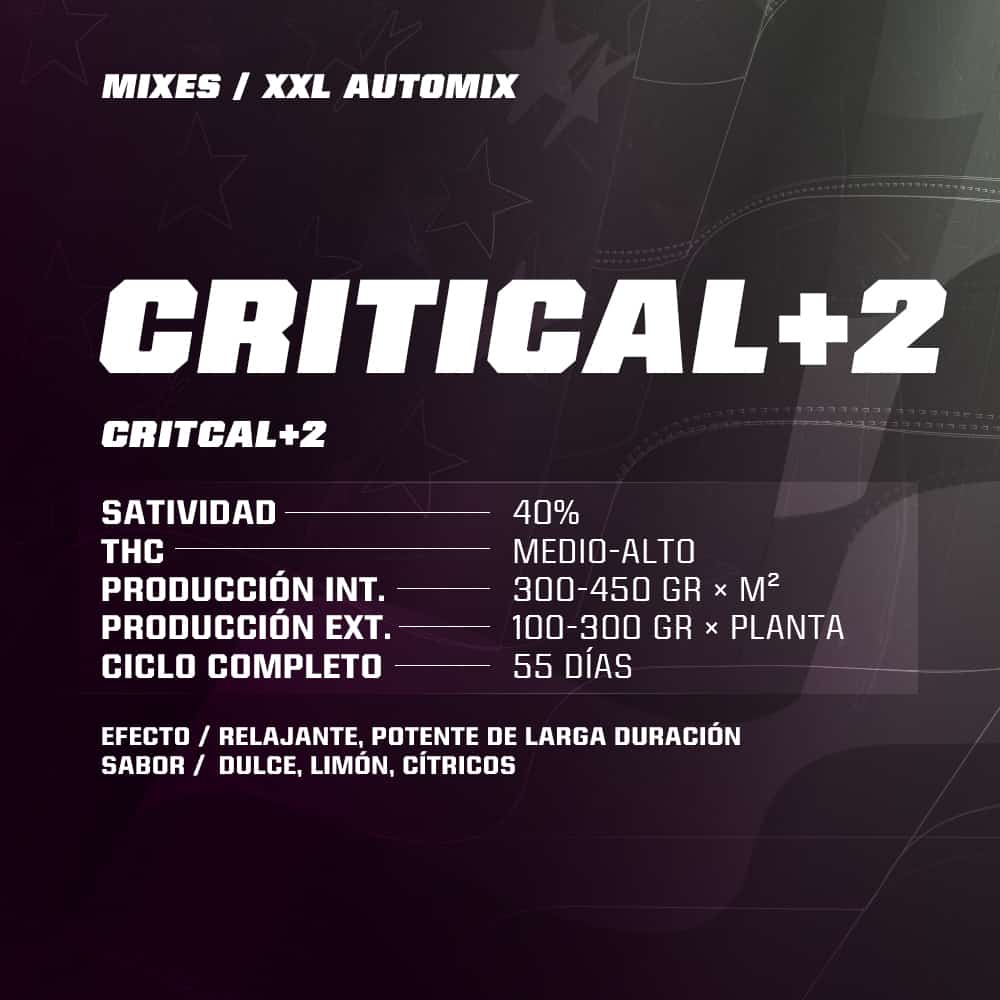 Auto Mix Dealer Deal XXL BSF - (x12) 3 Auto Mix Dealer Deal XXL BSF - (x12)