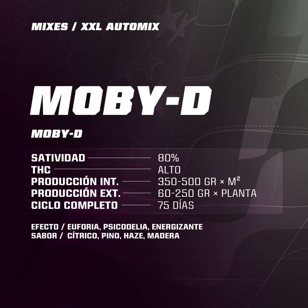 Auto Mix Dealer Deal XXL BSF - (x12) 6 Auto Mix Dealer Deal XXL BSF - (x12)