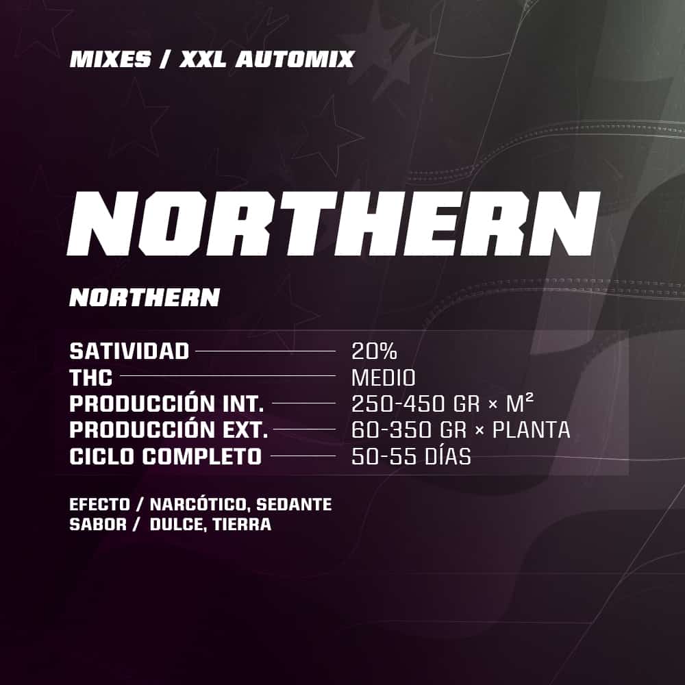 Auto Mix Dealer Deal XXL BSF - (x12) 5 Auto Mix Dealer Deal XXL BSF - (x12)