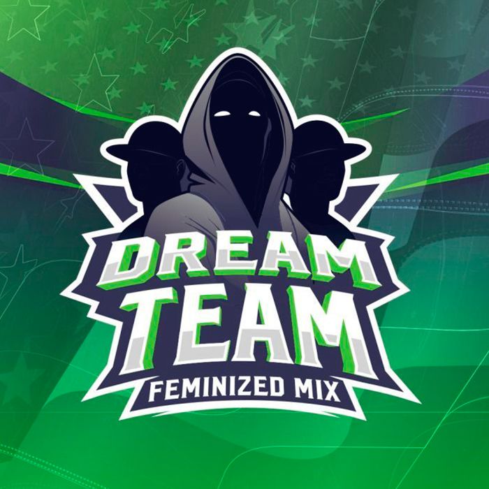 Dream Team Feminizada Mix BSF – (x12)