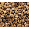 Auto Critical Caramel x1 - Granel