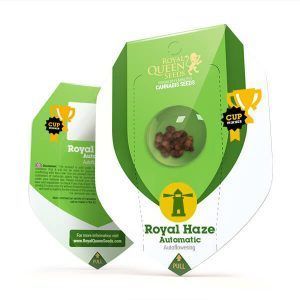 Auto Royal Haze Royal Queen – (x10)